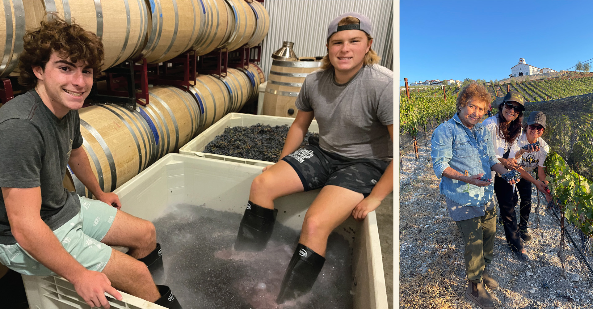 2022 photo collage: the boys foot stomping and family in the vineyard